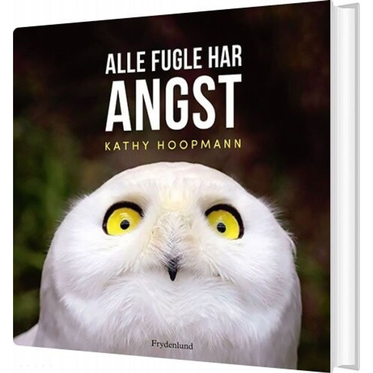 Alle Fugle Har Angst - Kathy Hoopmann - Bog