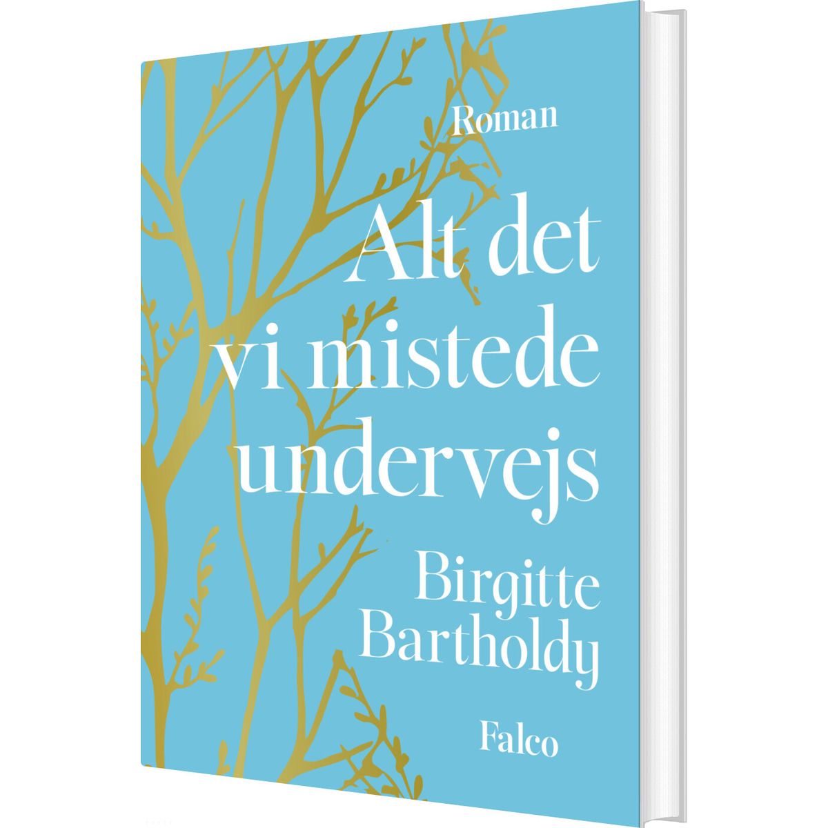 Alt Det Vi Mistede Undervejs - Birgitte Bartholdy - Bog