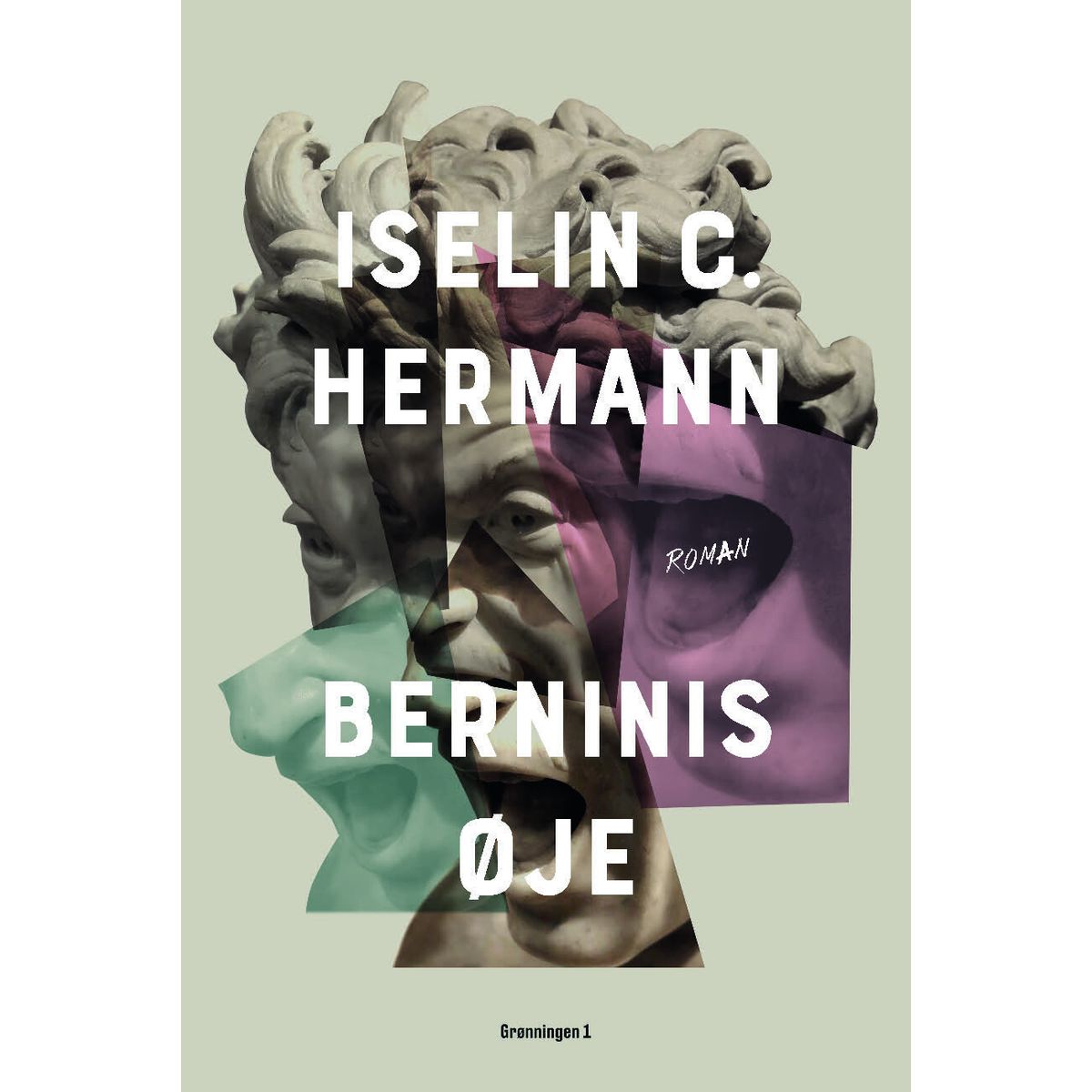 Berninis øje - Iselin C. Hermann - Bog