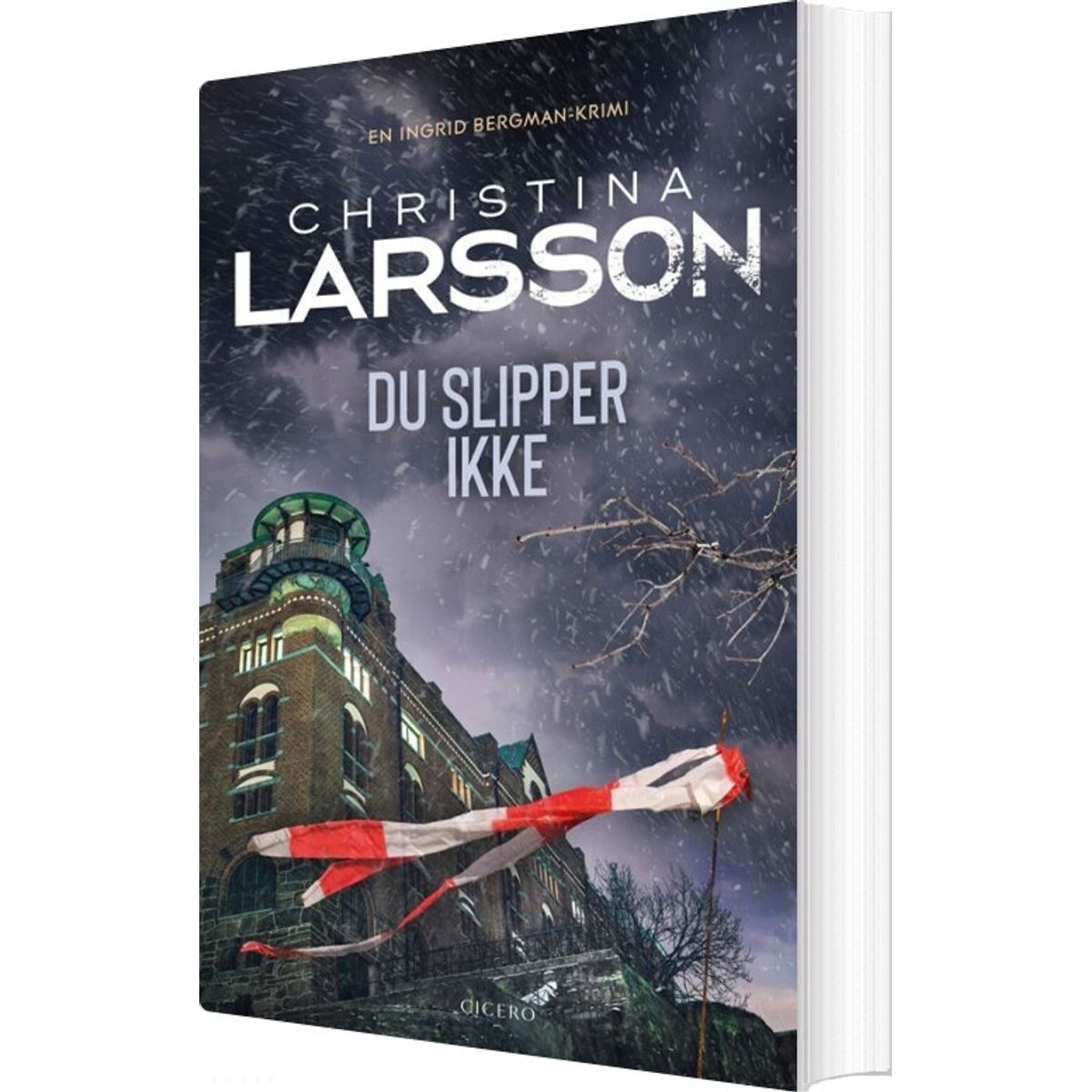 Du Slipper Ikke - Christina Larsson - Bog