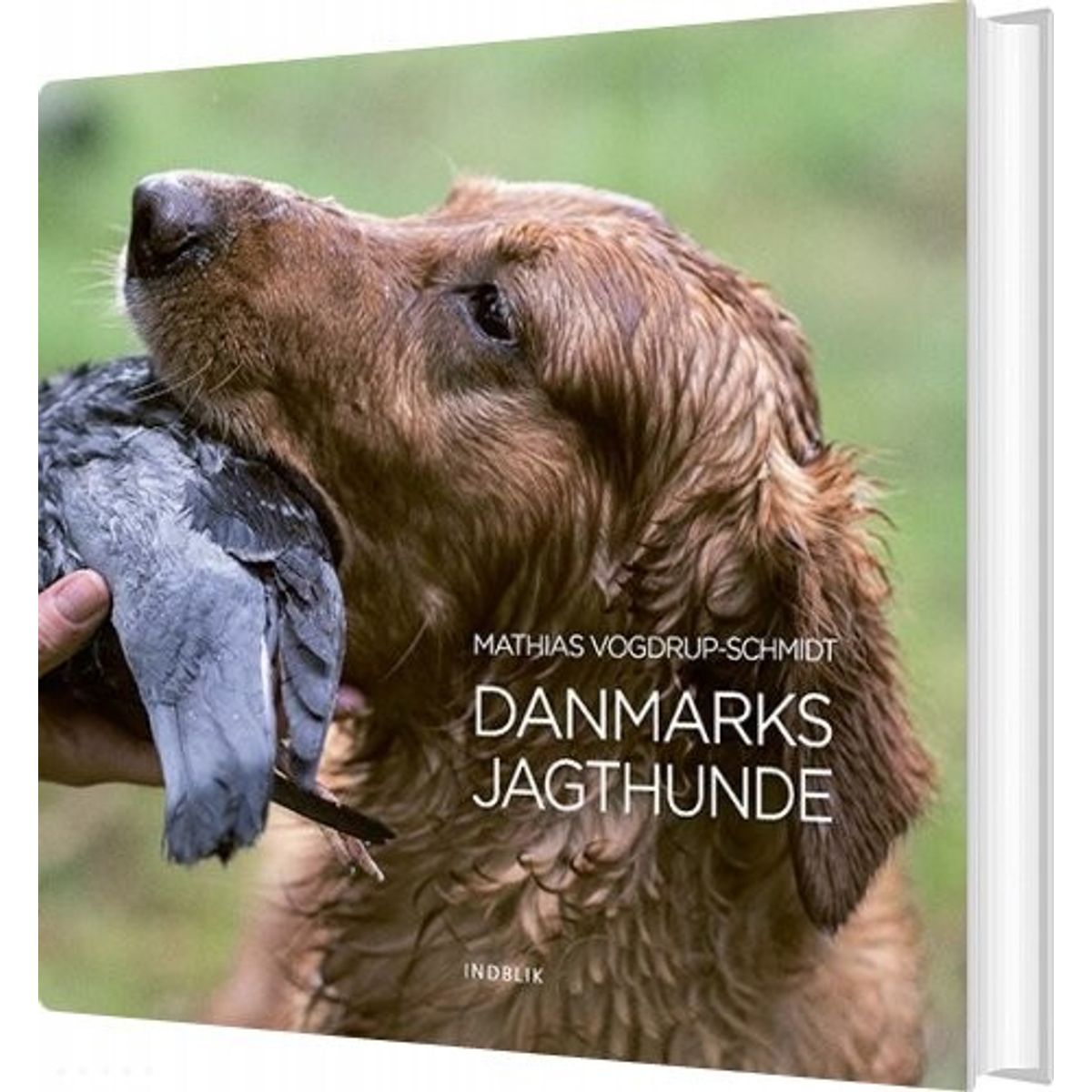 Danmarks Jagthunde - Mathias Vogdrup-schmidt - Bog