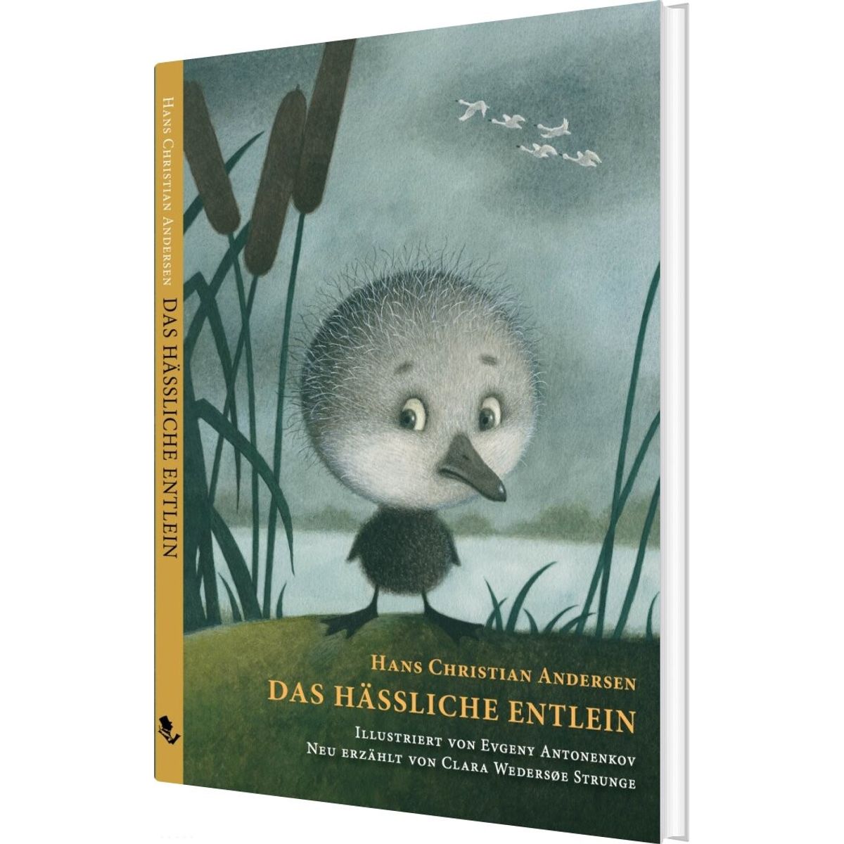 Das Hässliche Entlein - Hans Christian Andersen - Tysk Bog