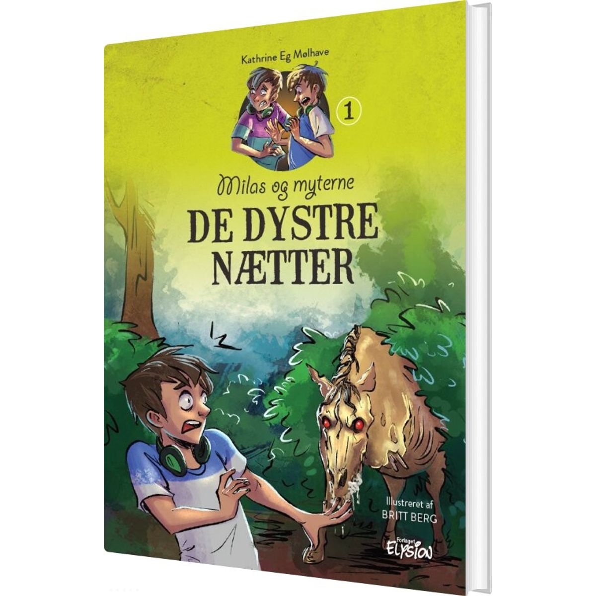 De Dystre Nætter - Kathrine Eg Mølhave - Bog