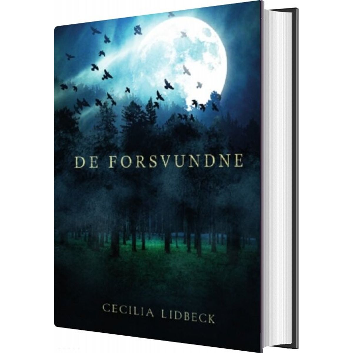 De Forsvundne - Cecilia Lidbeck - Bog