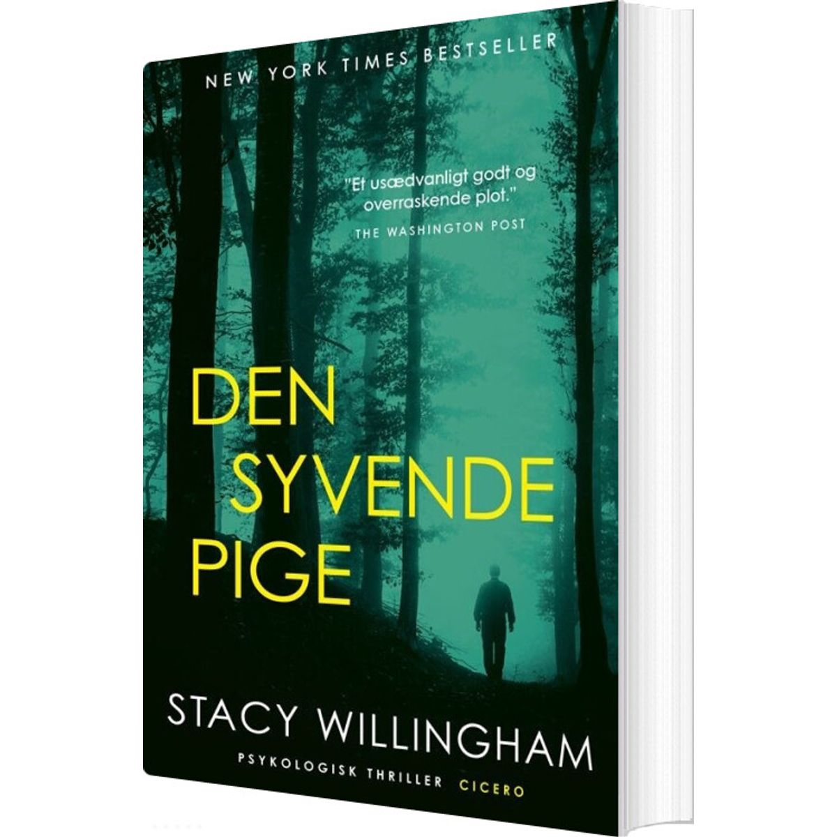 Den Syvende Pige - Stacy Willingham - Bog