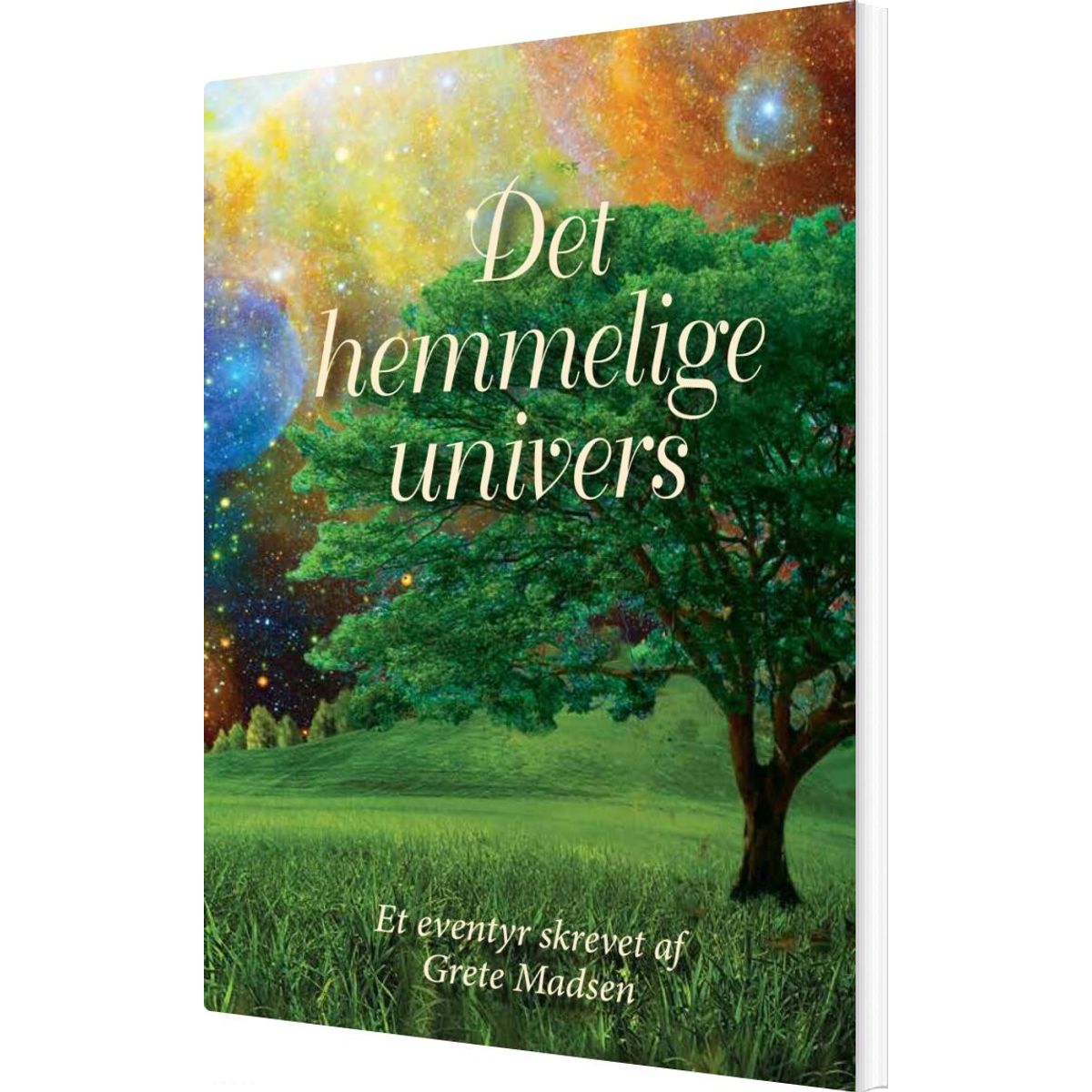 Det Hemmelige Univers - Grete Madsen - Bog