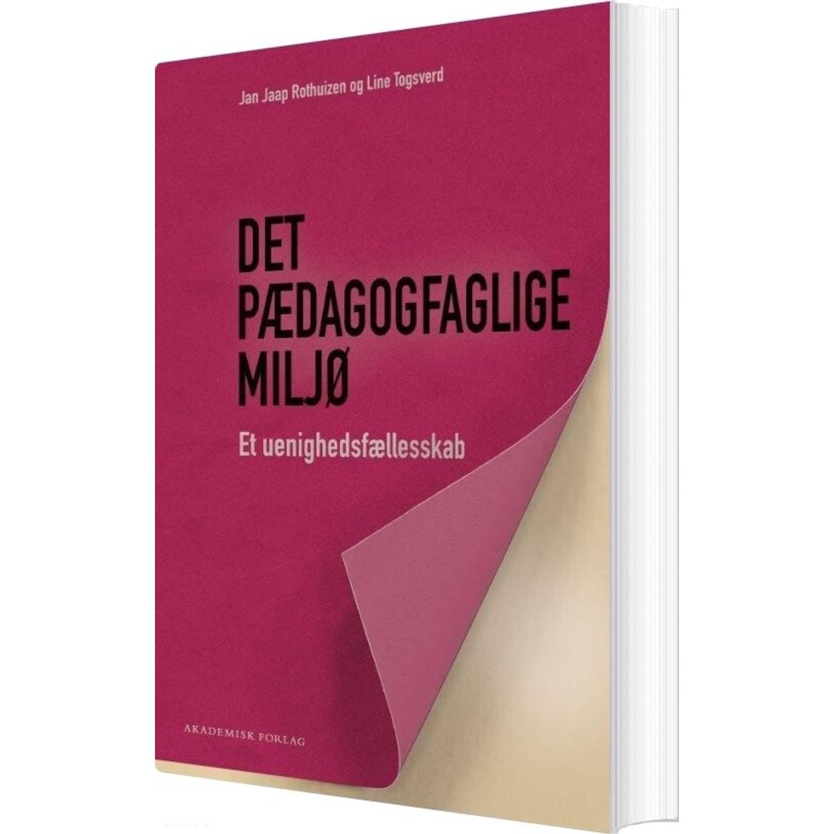 Det Pædagogfaglige Miljø - Jan Jaap Rothuizen - Bog