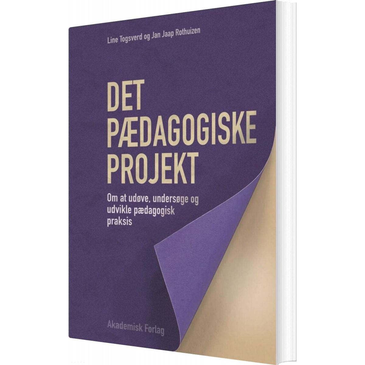 Det Pædagogiske Projekt - Jan Jaap Rothuizen - Bog