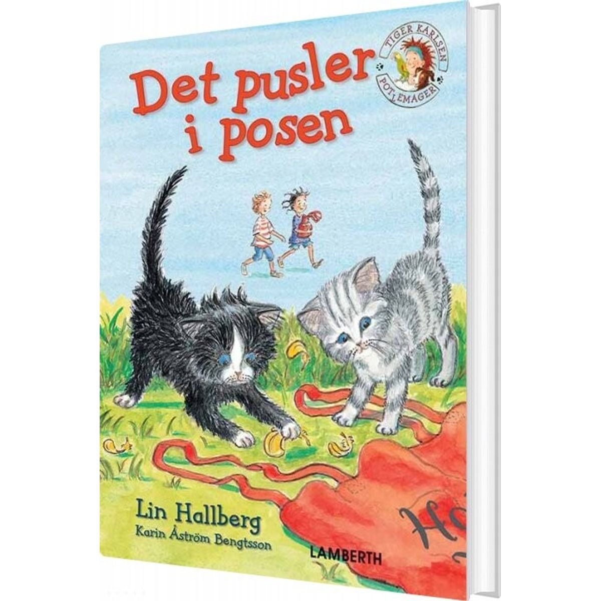 Det Pusler I Posen - Lin Hallberg - Bog