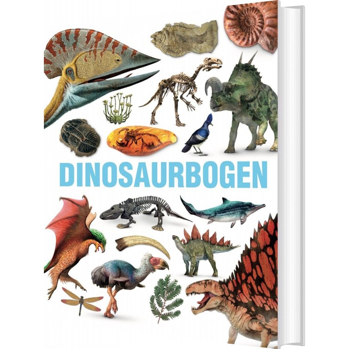 Dinosaurbogen - Bog