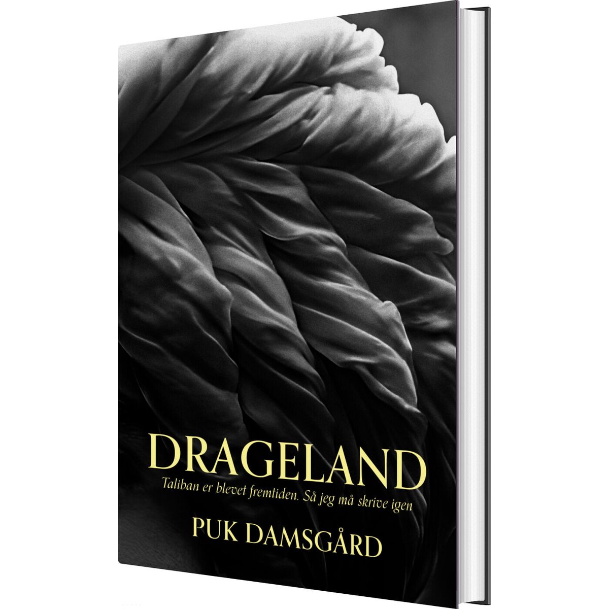 Drageland - Puk Damsgård - Bog