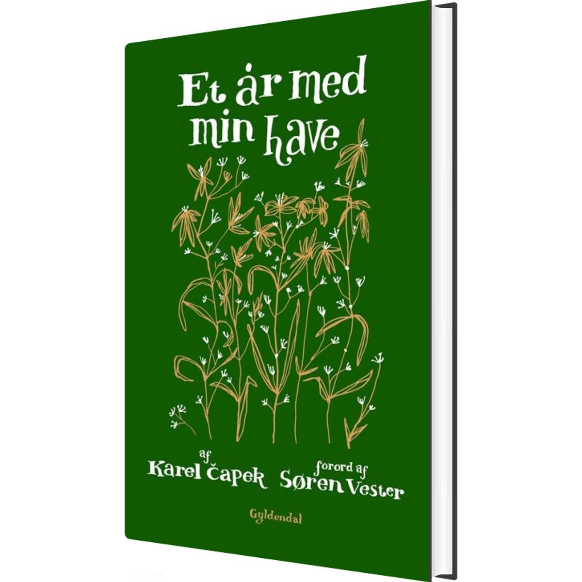 Et år Med Min Have - Karel Capek - Bog