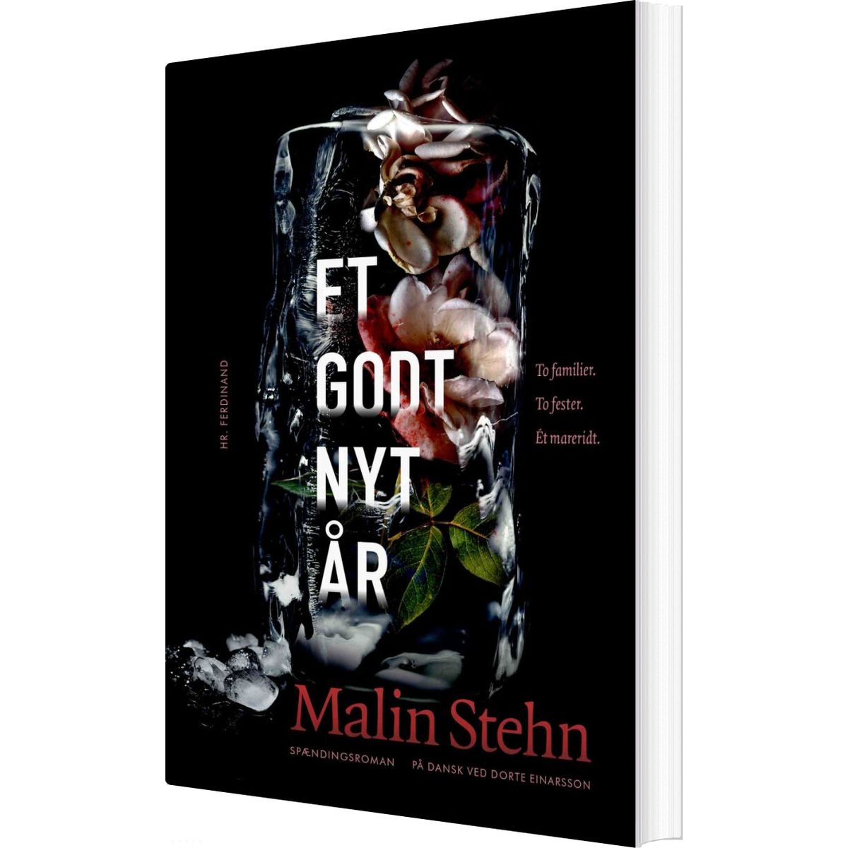 Et Godt Nyt år - Malin Stehn - Bog