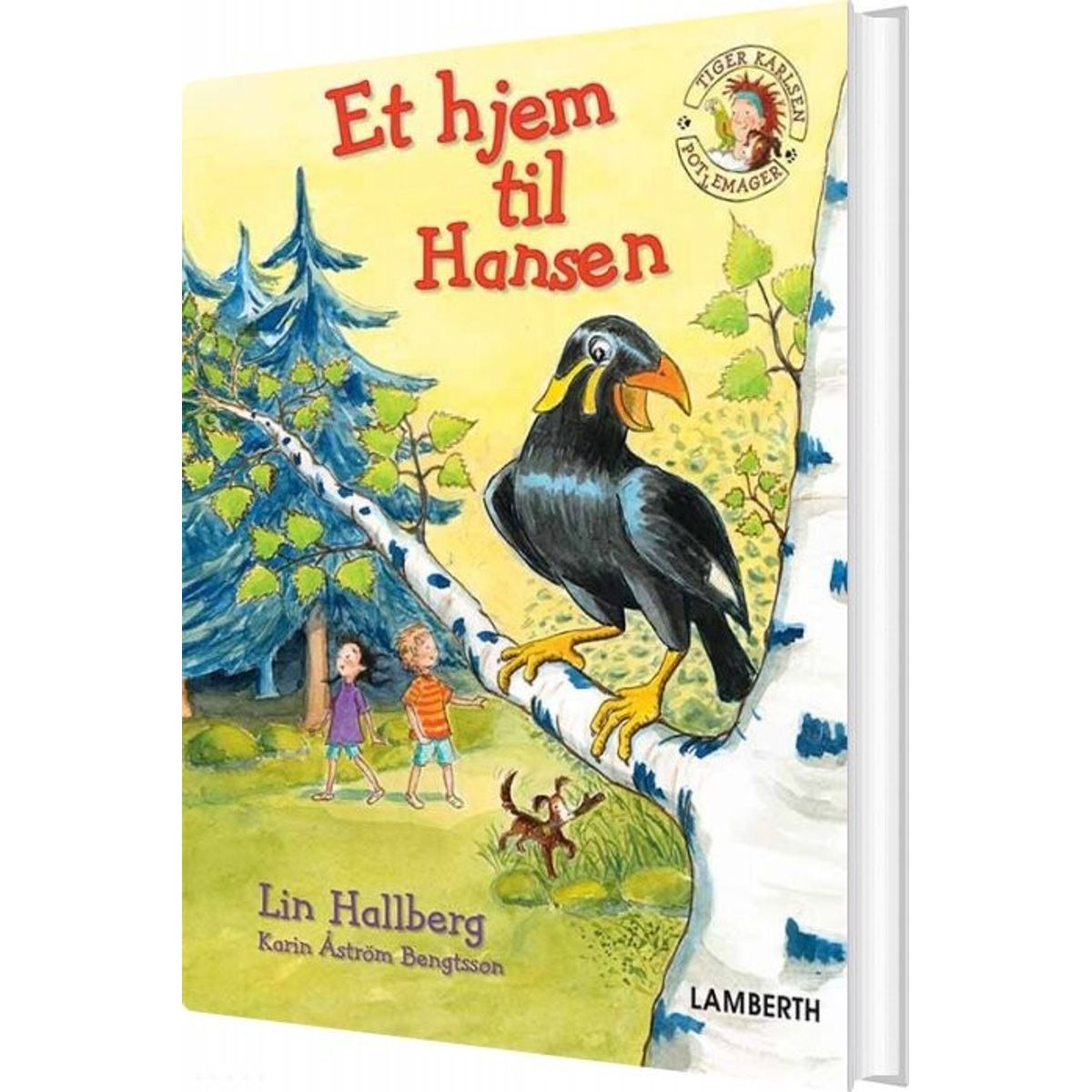 Et Hjem Til Hansen - Lin Hallberg - Bog