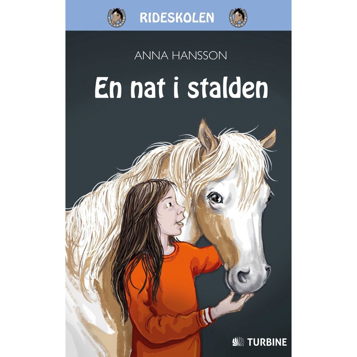 En Nat I Stalden - Anna Hansson - Bog