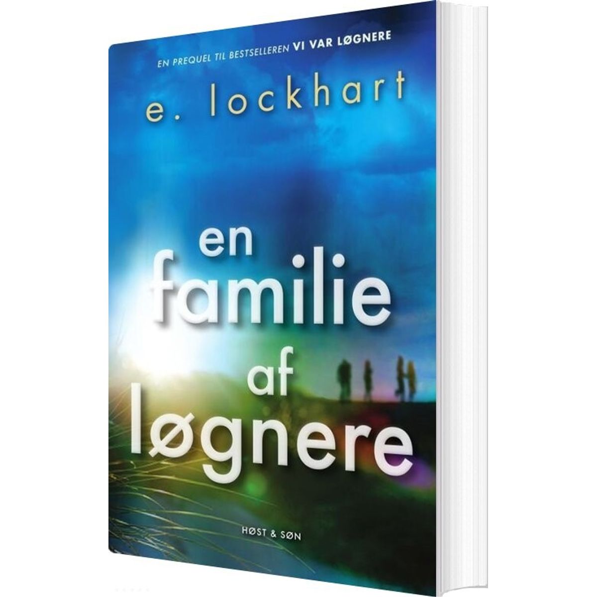 En Familie Af Løgnere - Emily Lockhart - Bog