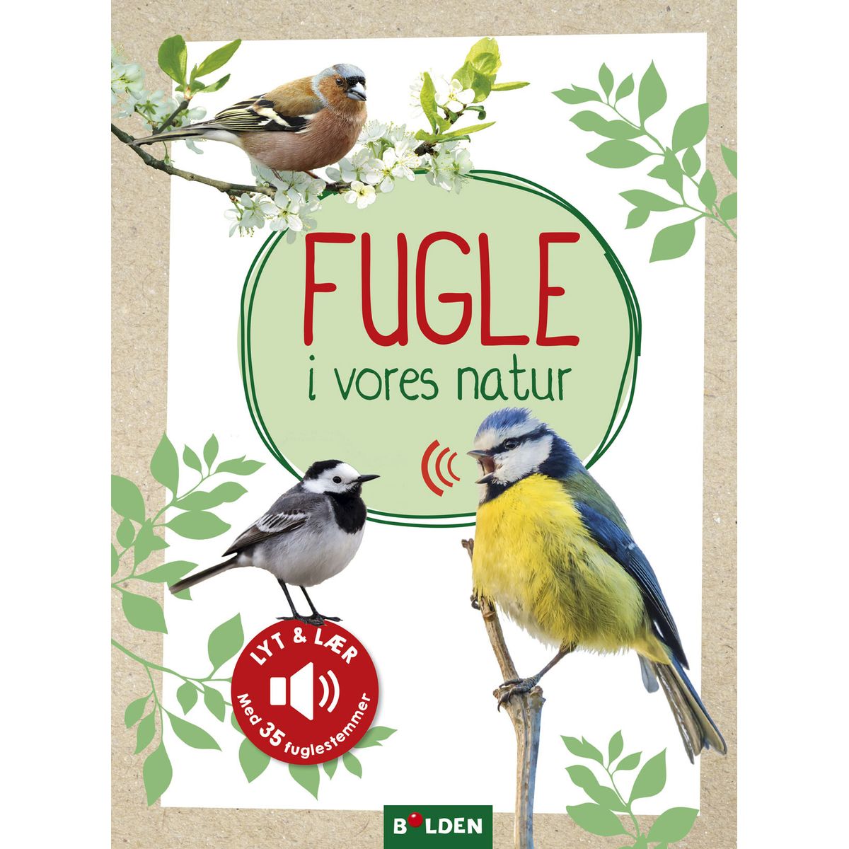 Fugle I Vores Natur - Eva Wagner - Bog