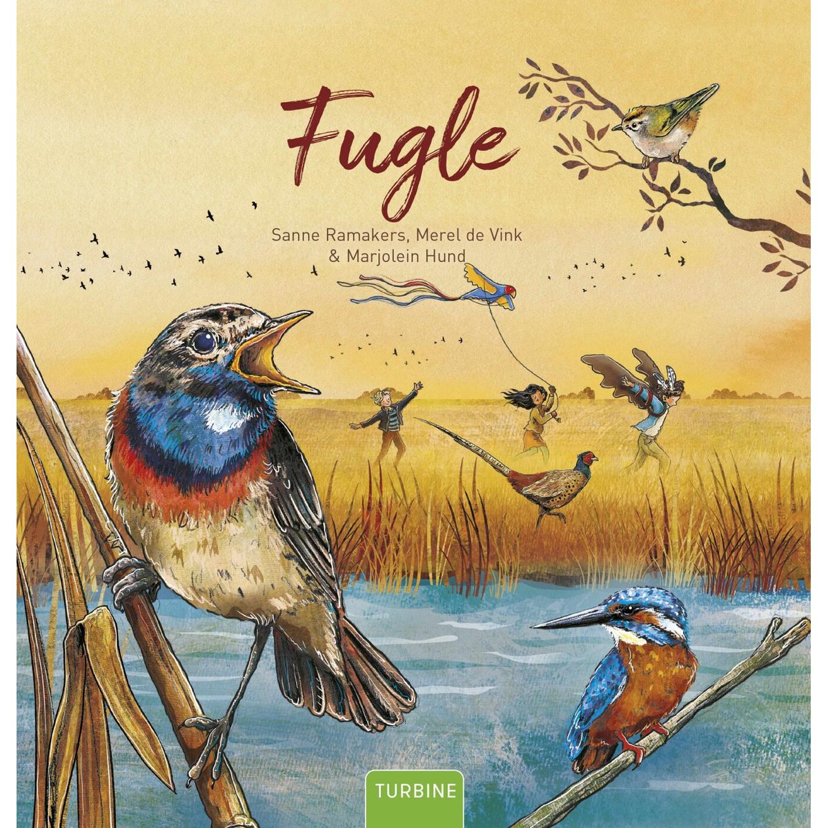 Fugle - Sanne Ramakers - Bog