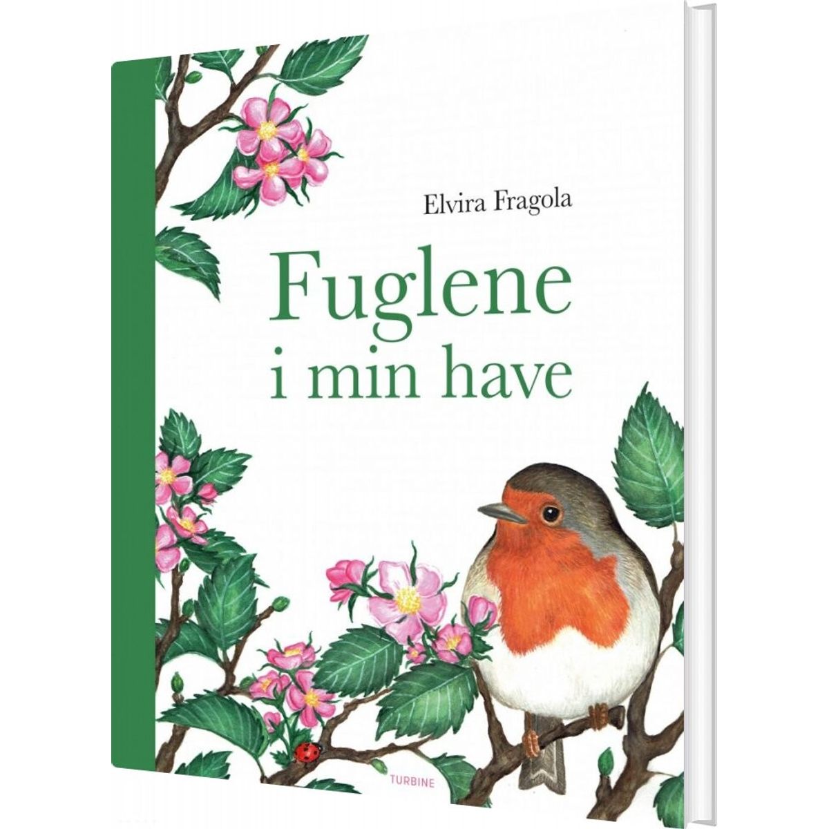 Fuglene I Min Have - Elvira Fragola - Bog