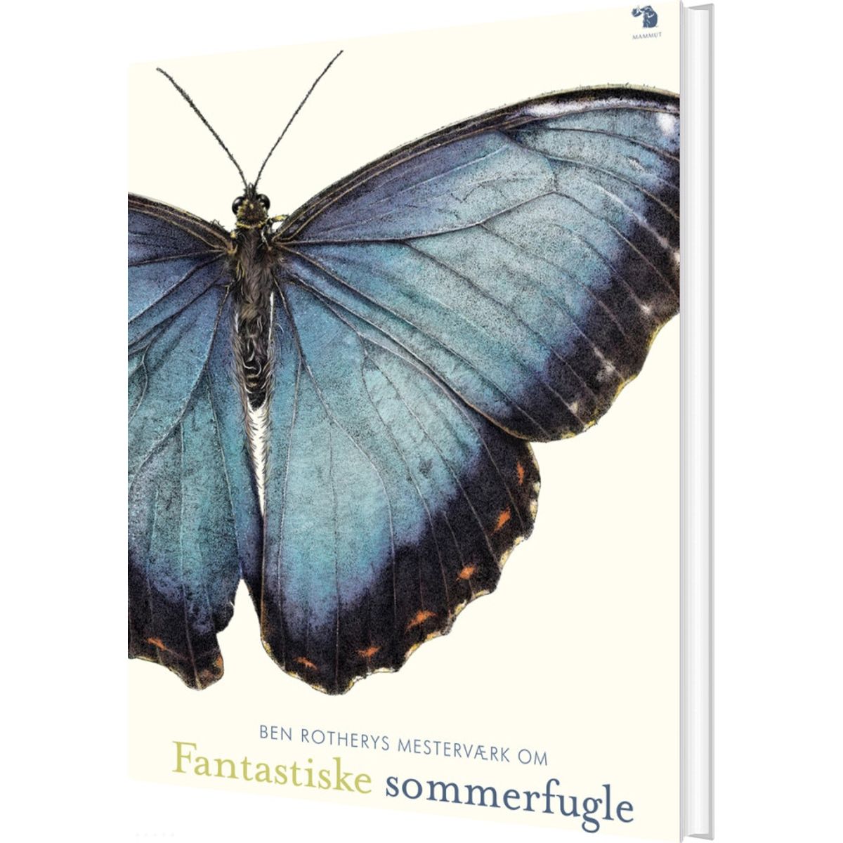 Fantastiske Sommerfugle - Ben Rothery - Bog