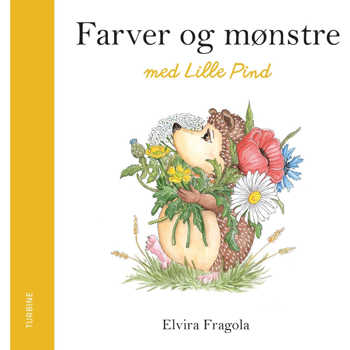 Farver Og Mønstre Med Lille Pind - Elvira Fragola - Bog