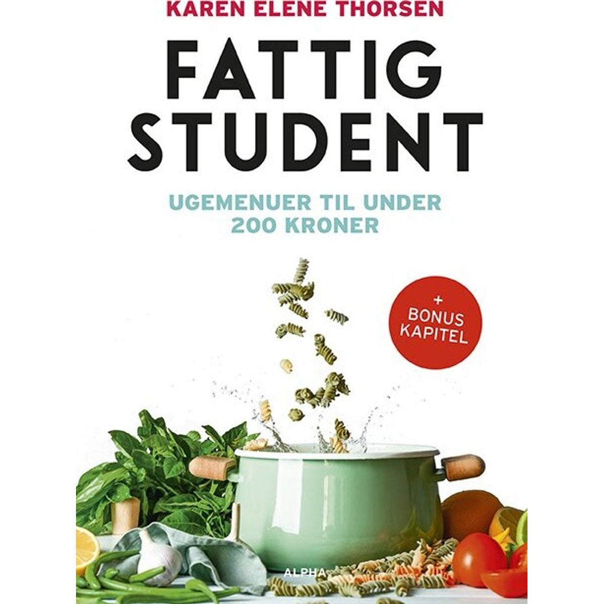 Fattig Student - Karen Elene Thorsen - Bog