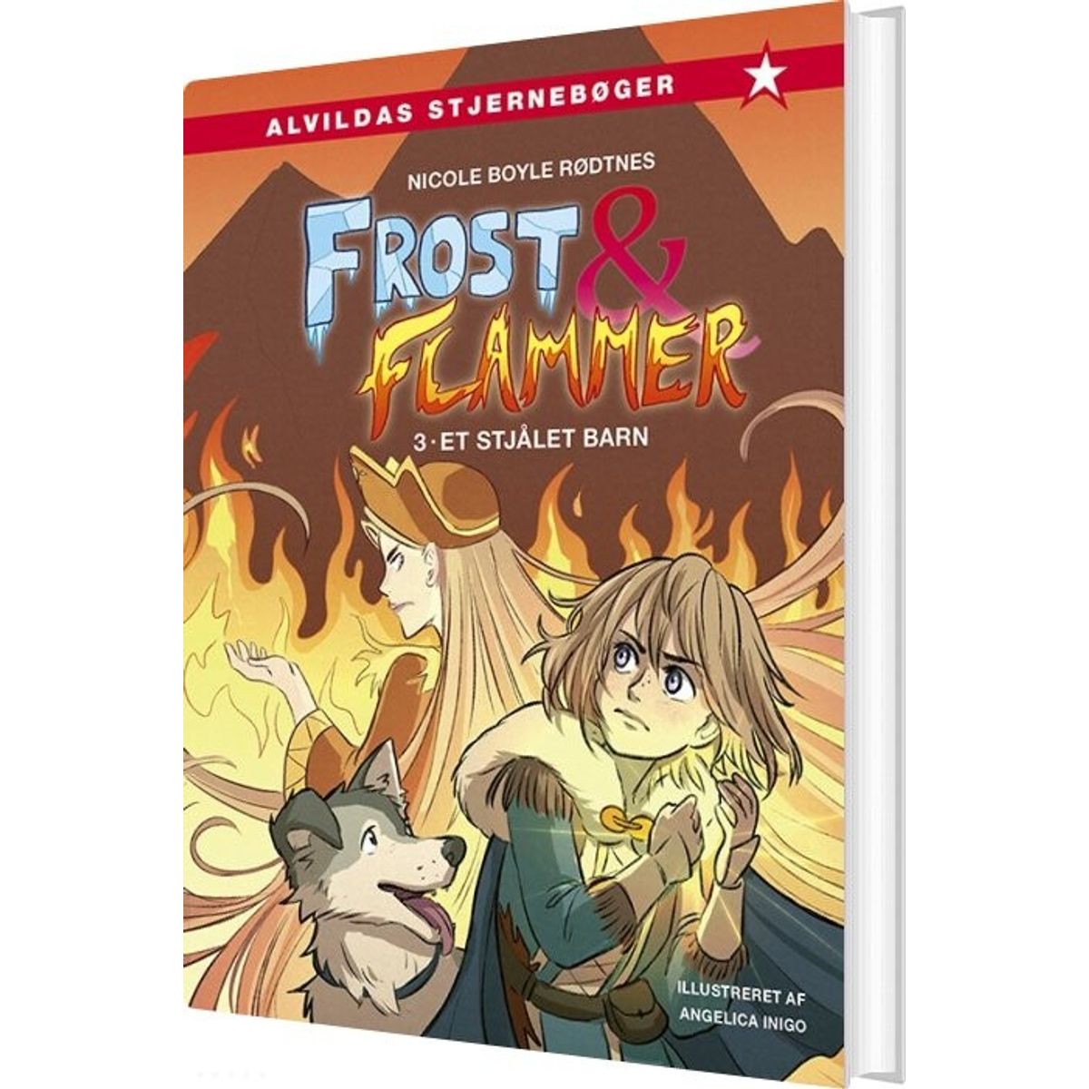 Frost Og Flammer 3: Et Stjålet Barn - Nicole Boyle Rødtnes - Bog