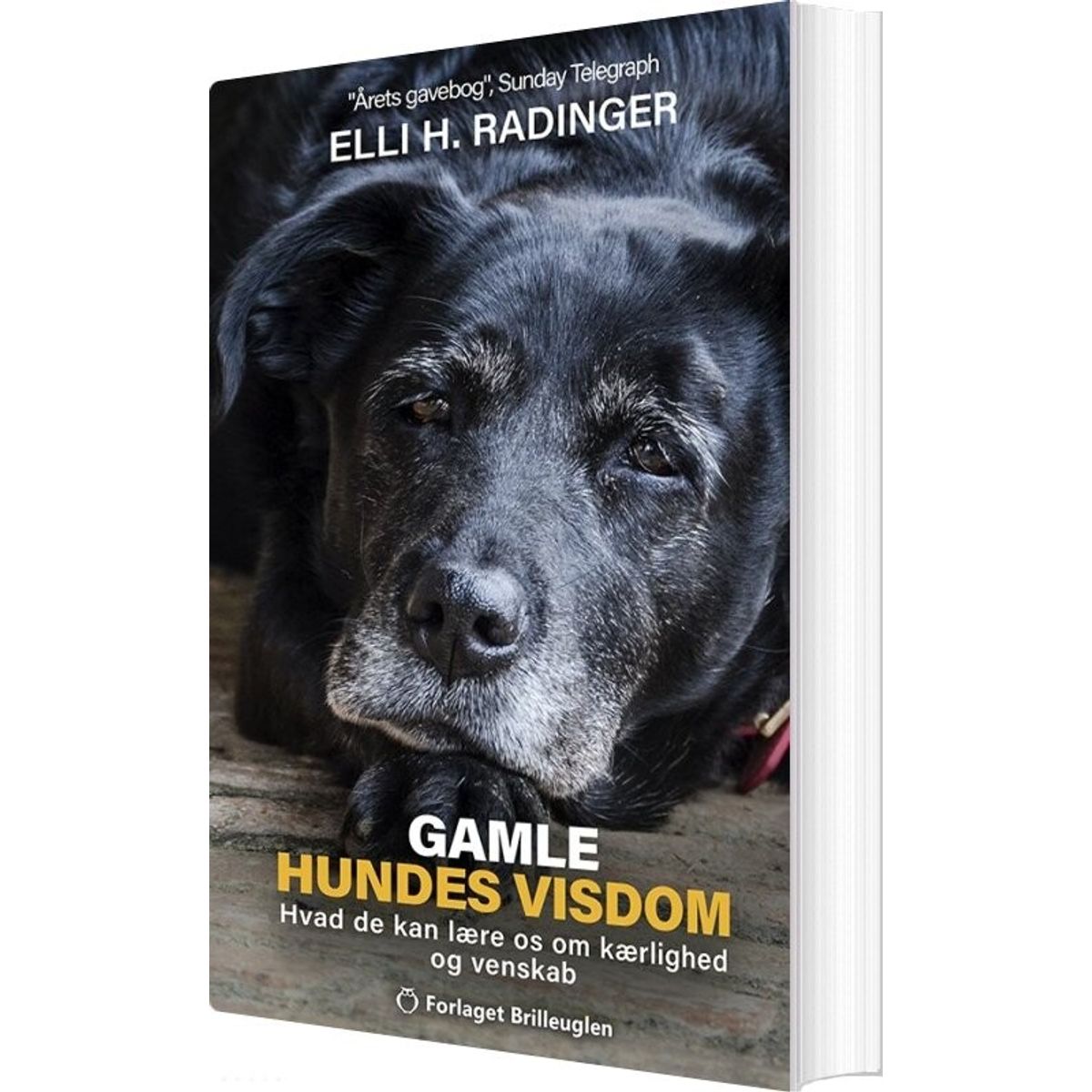 Gamle Hundes Visdom - Elli H. Radinger - Bog