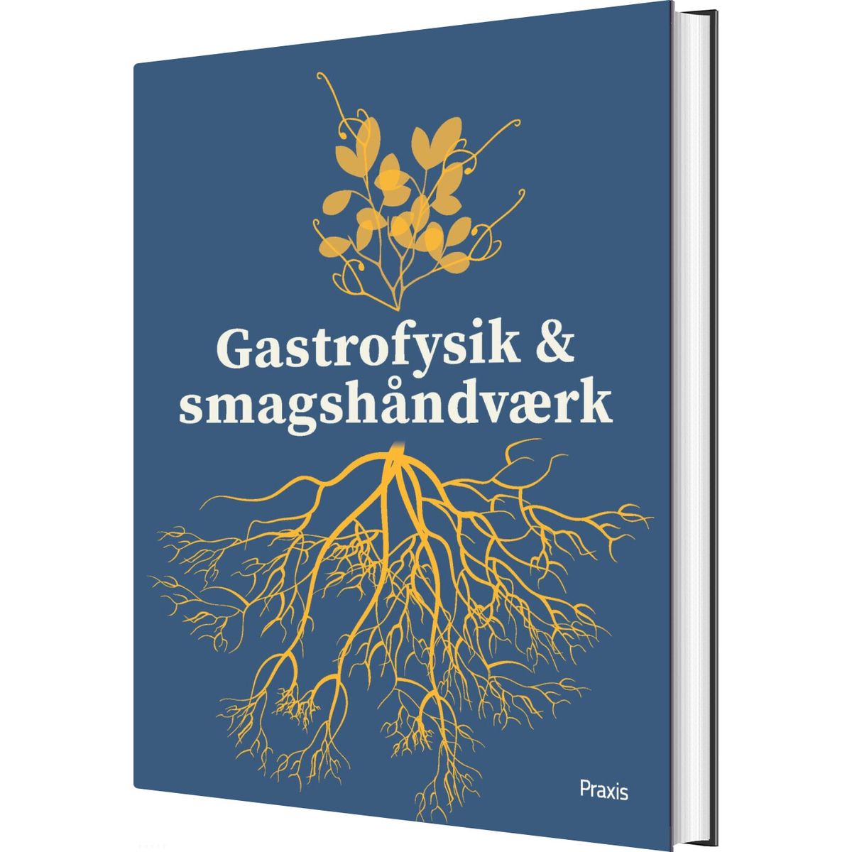 Gastrofysik Og Smagshåndværk - Morten Christensen - Bog