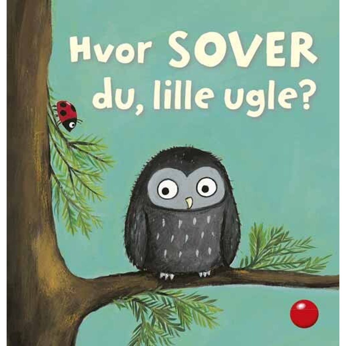 Hvor Sover Du, Lille Ugle? - Heike Vogel - Bog