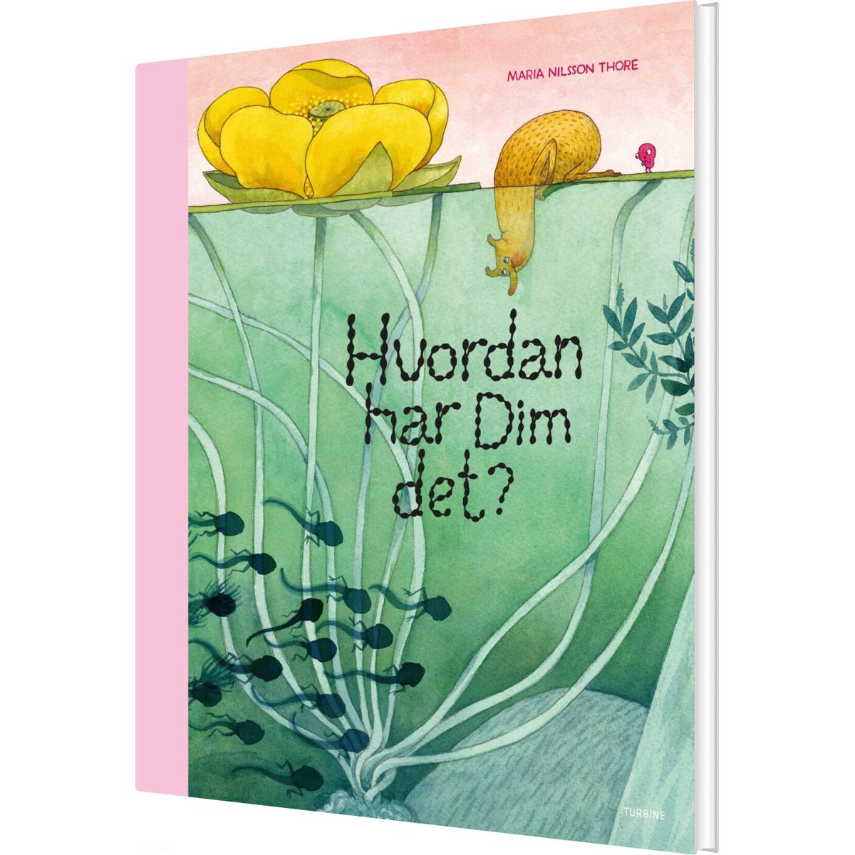 Hvordan Har Dim Det? - Maria Nilsson Thore - Bog