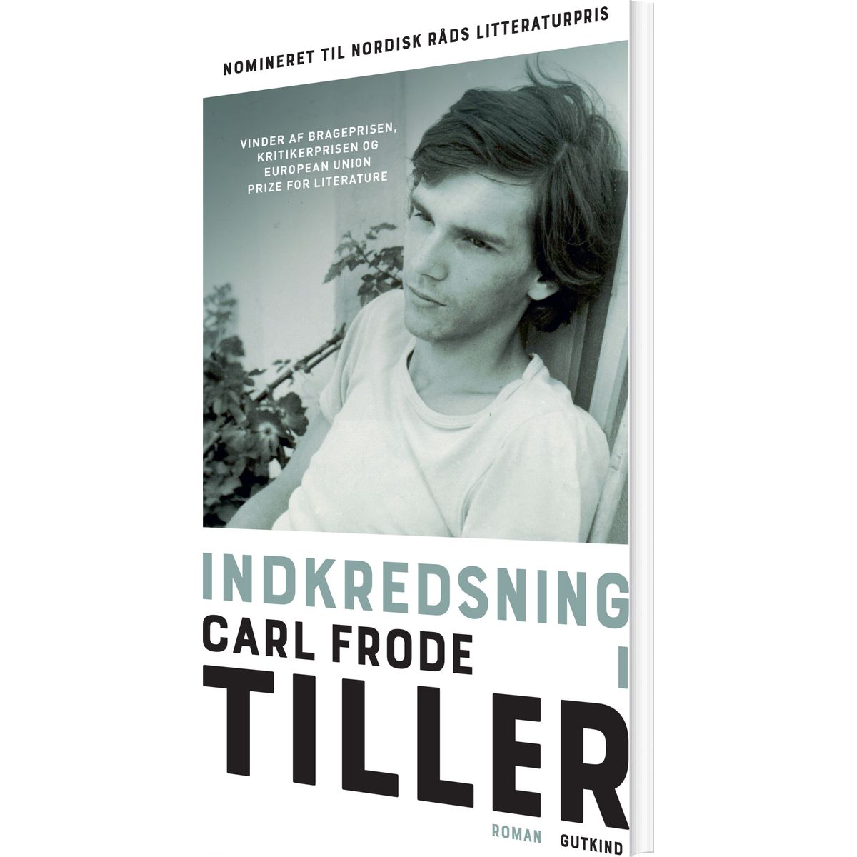 Indkredsning - Carl Frode Tiller - Bog