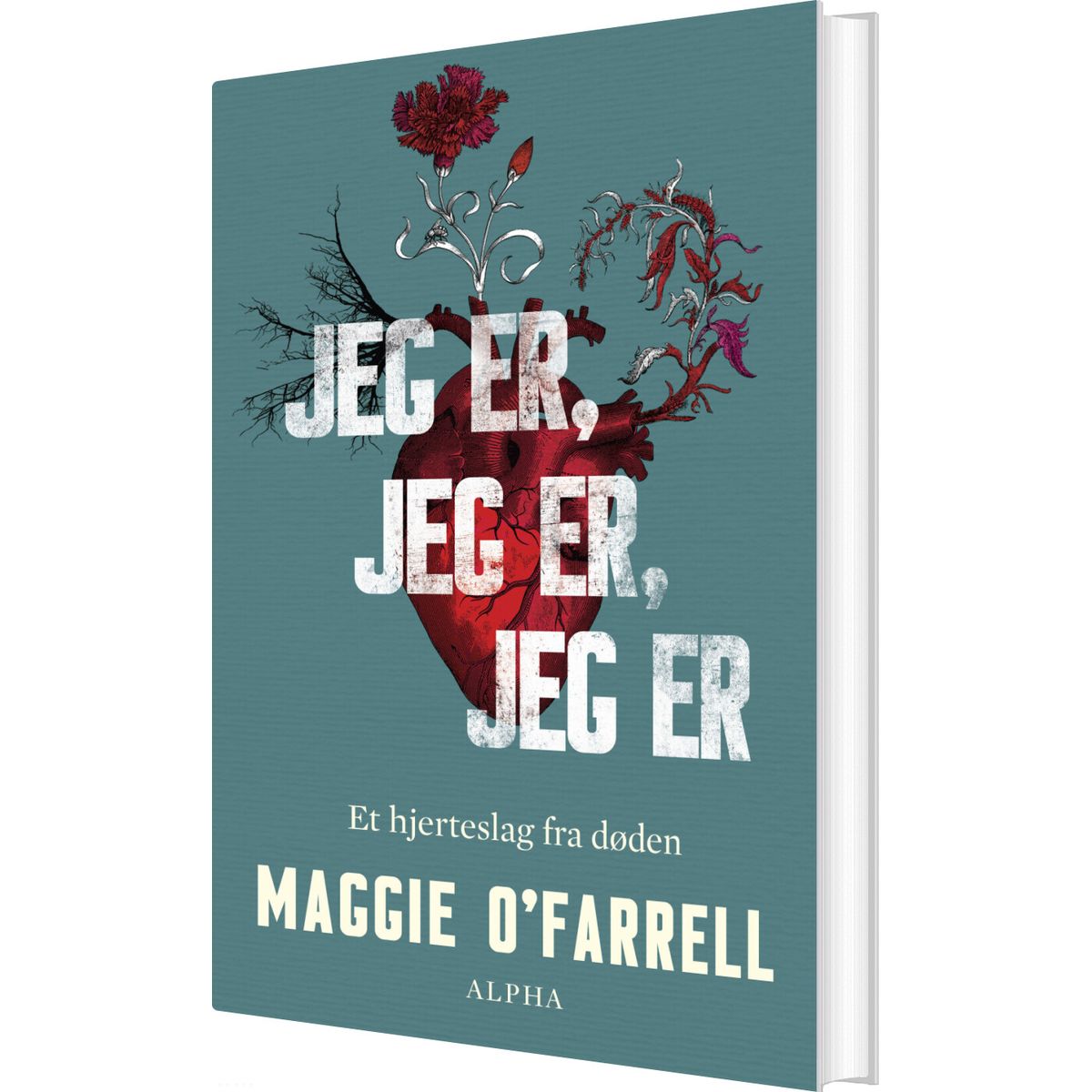 Jeg Er, Jeg Er, Jeg Er - Maggie O'farrell - Bog