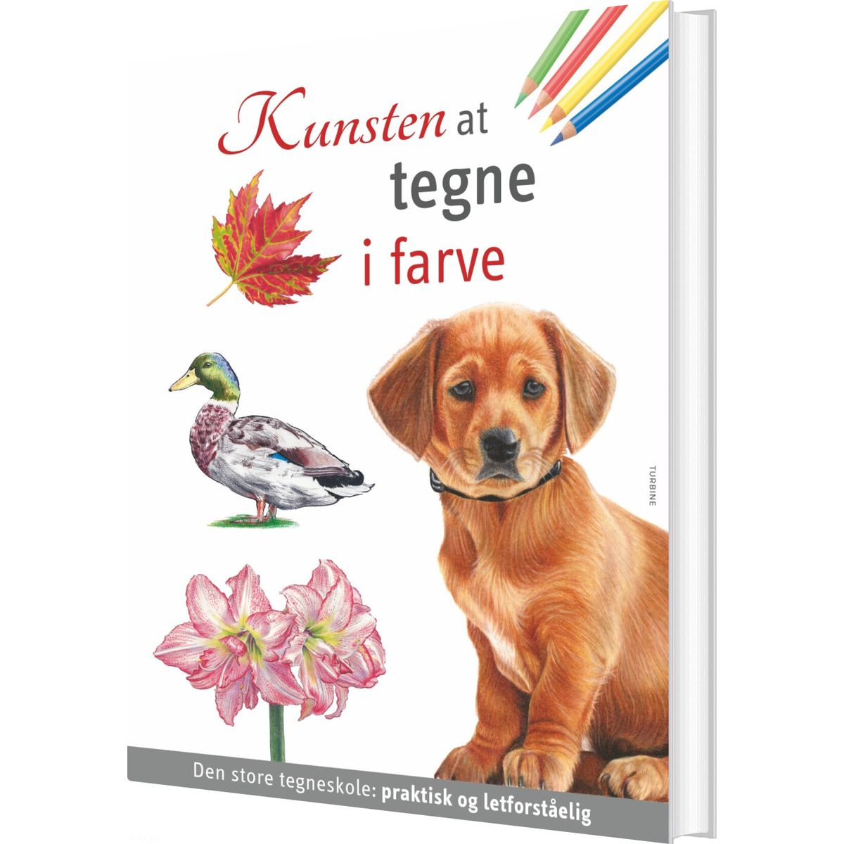 Kunsten At Tegne I Farve - Bog