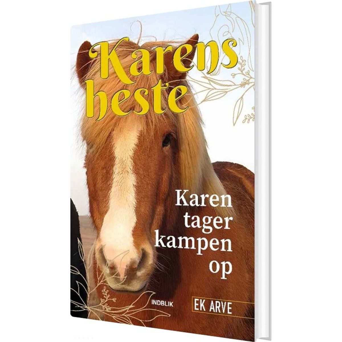 Karen Tager Kampen Op - Ek Arve - Bog