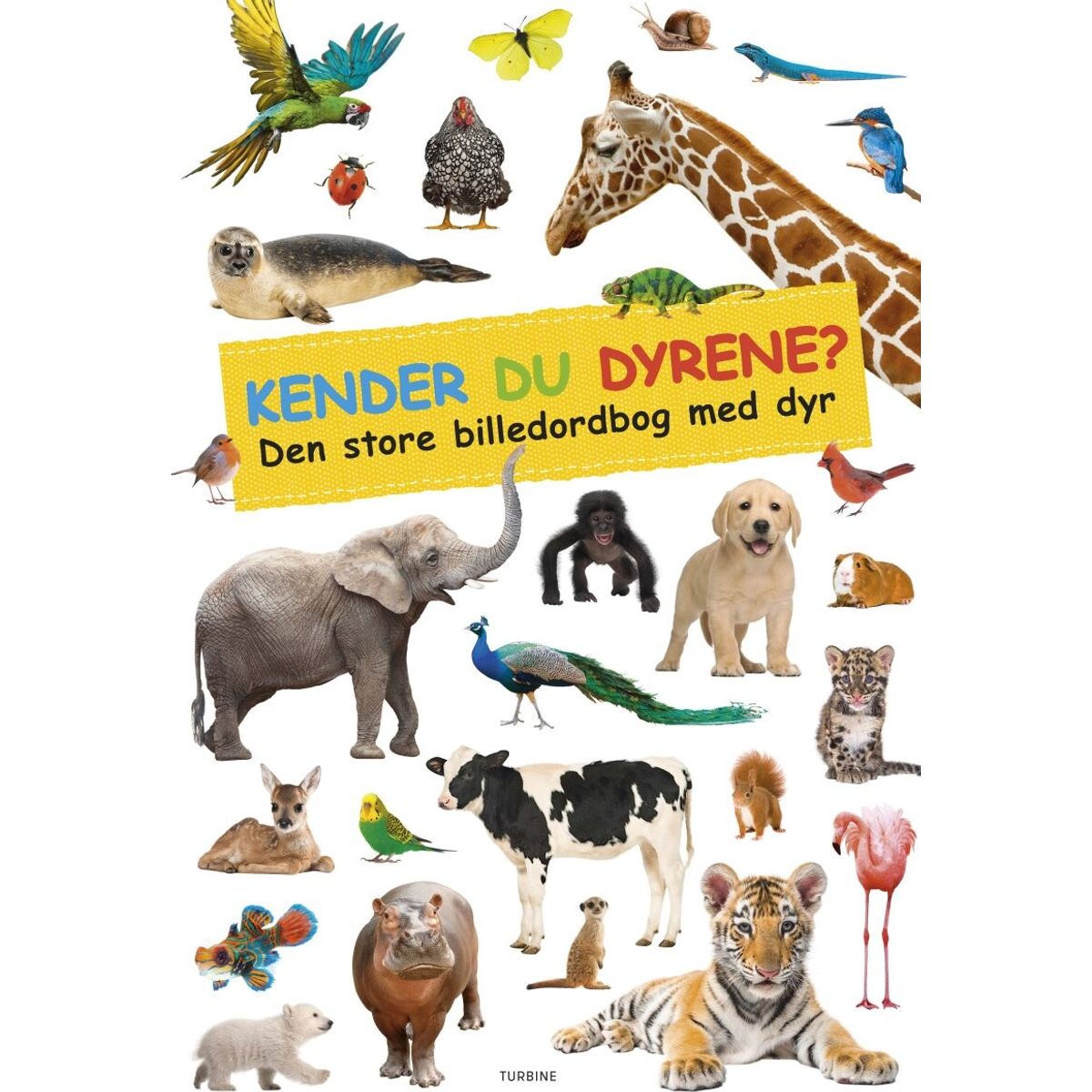 Kender Du Dyrene? - Bog