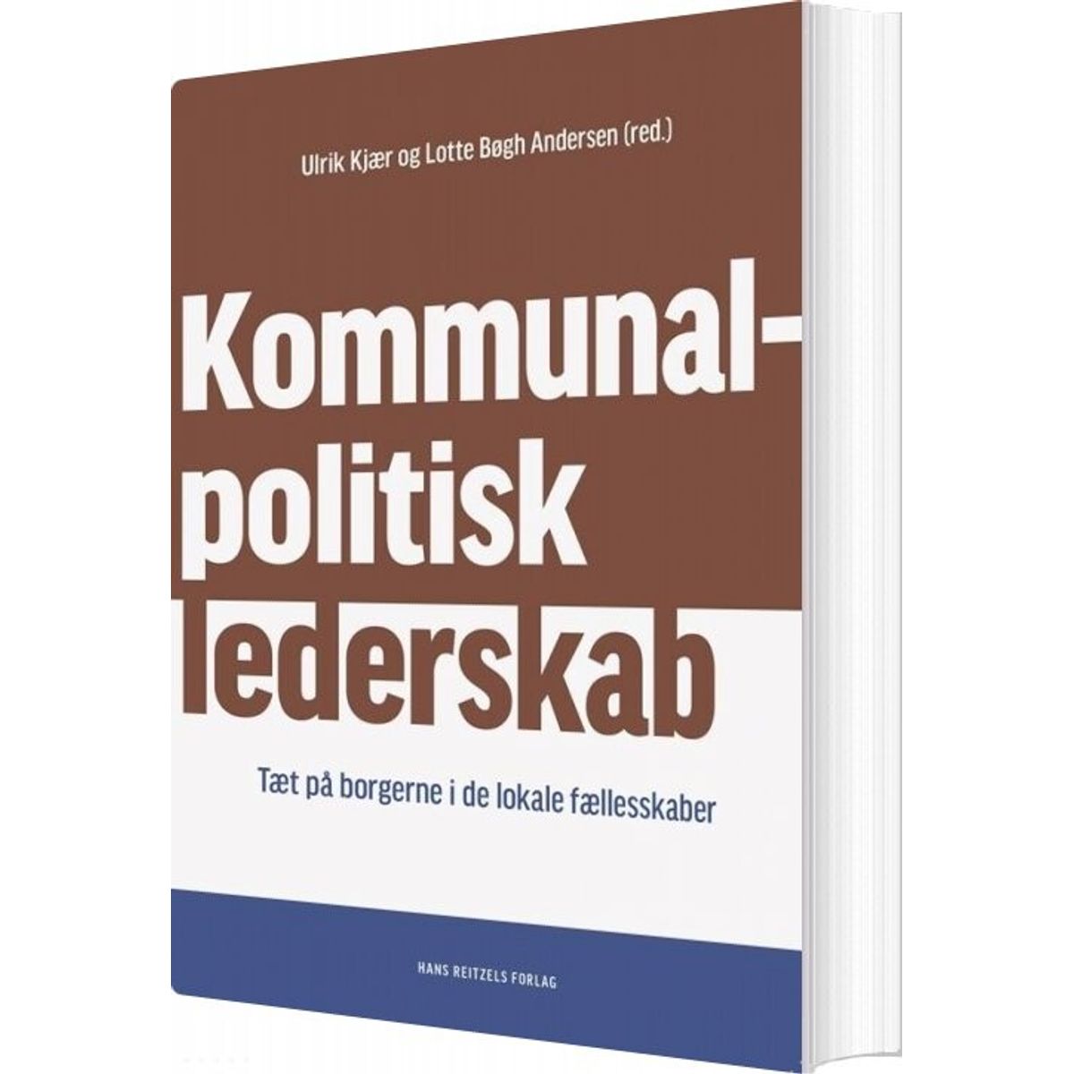 Kommunalpolitisk Lederskab - Niels Ejersbo - Bog