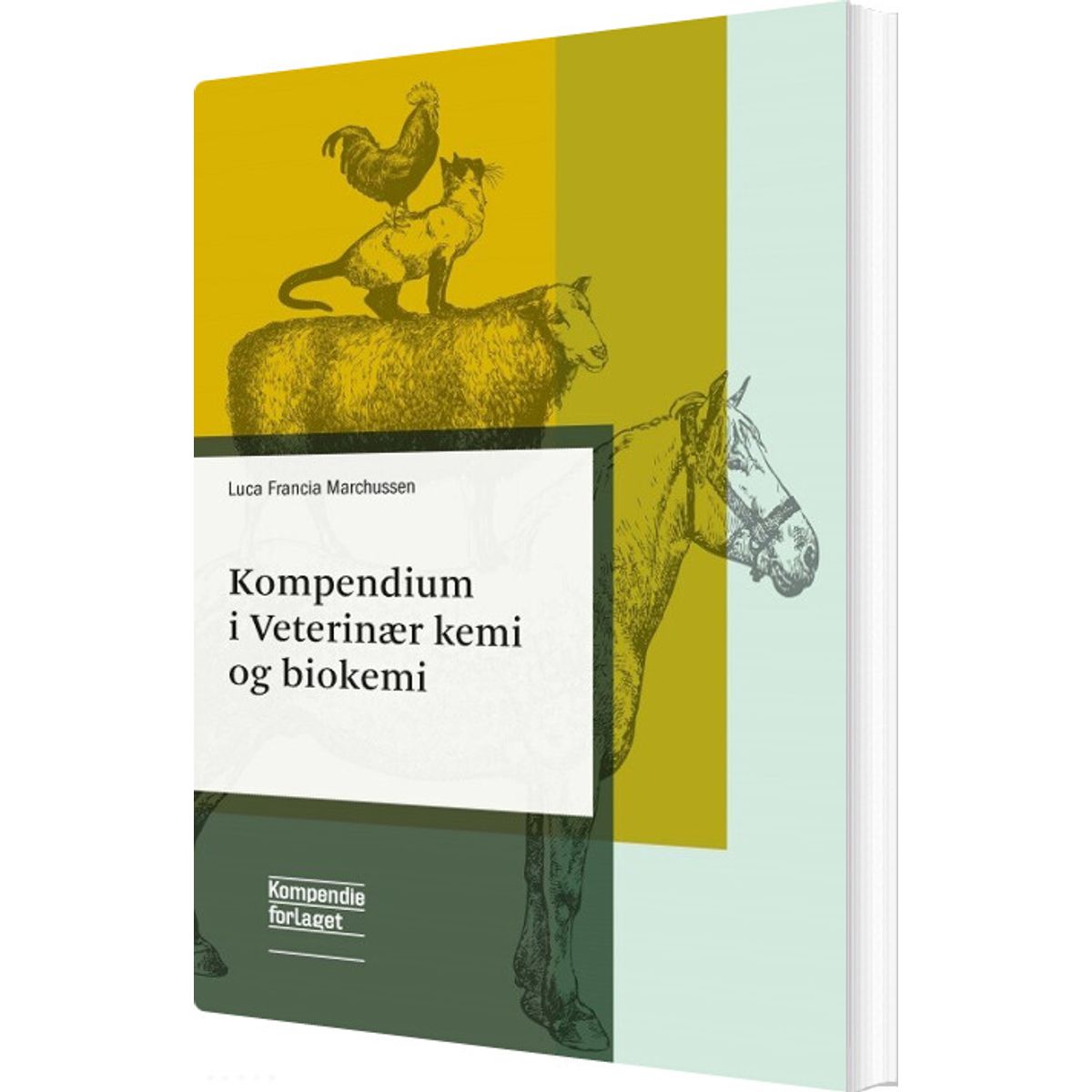 Kompendium I Veterinær Kemi Og Biokemi - Luca Francia Marchussen - Bog