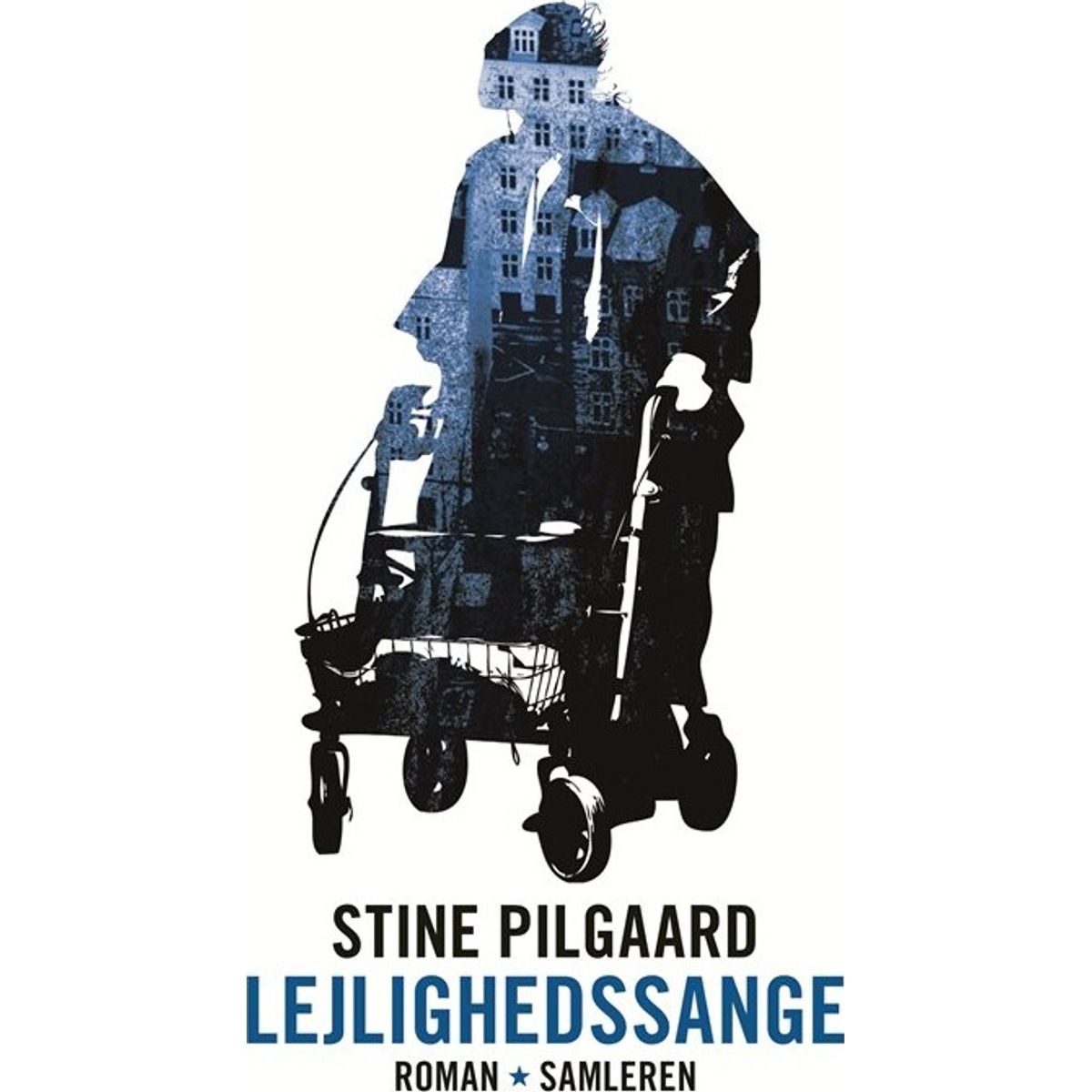 Lejlighedssange - Stine Pilgaard - Bog