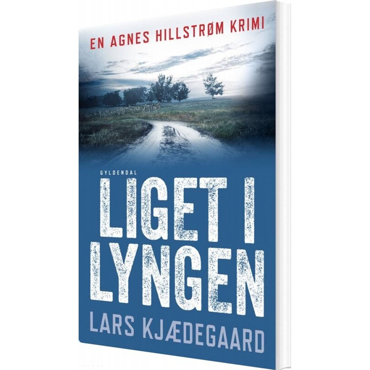 Liget I Lyngen - Lars Kjædegaard - Bog