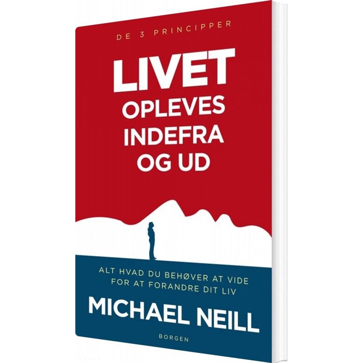 Livet Opleves Indefra Og Ud. De 3 Principper - Michael Neill - Bog