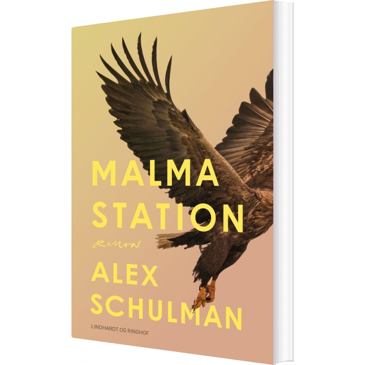 Malma Station - Alex Schulman - Bog