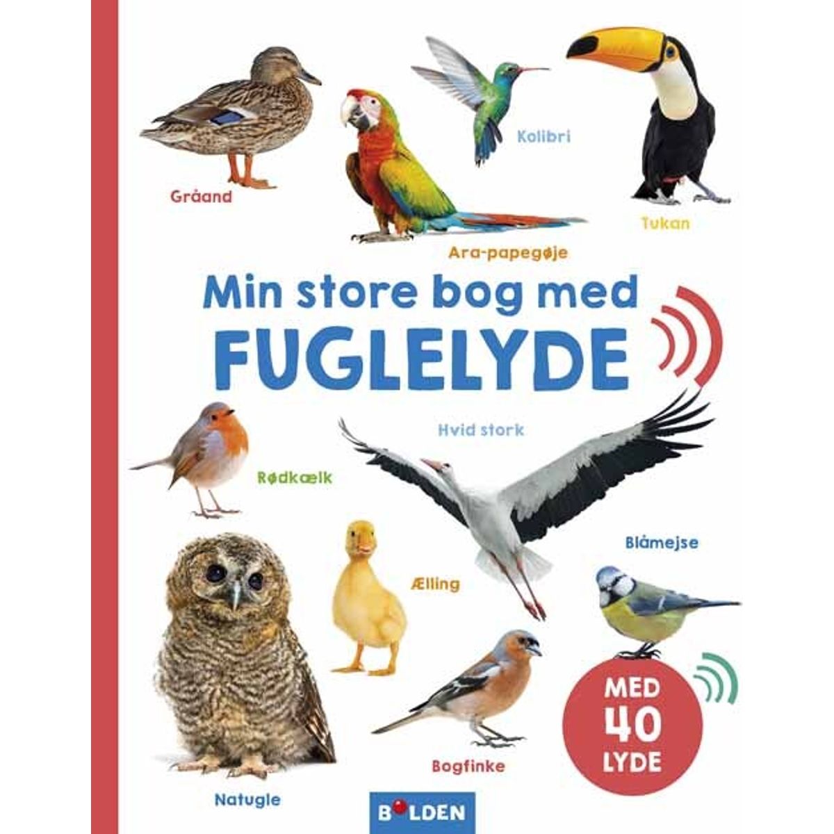 Min Store Bog Med Fuglelyde - Bog