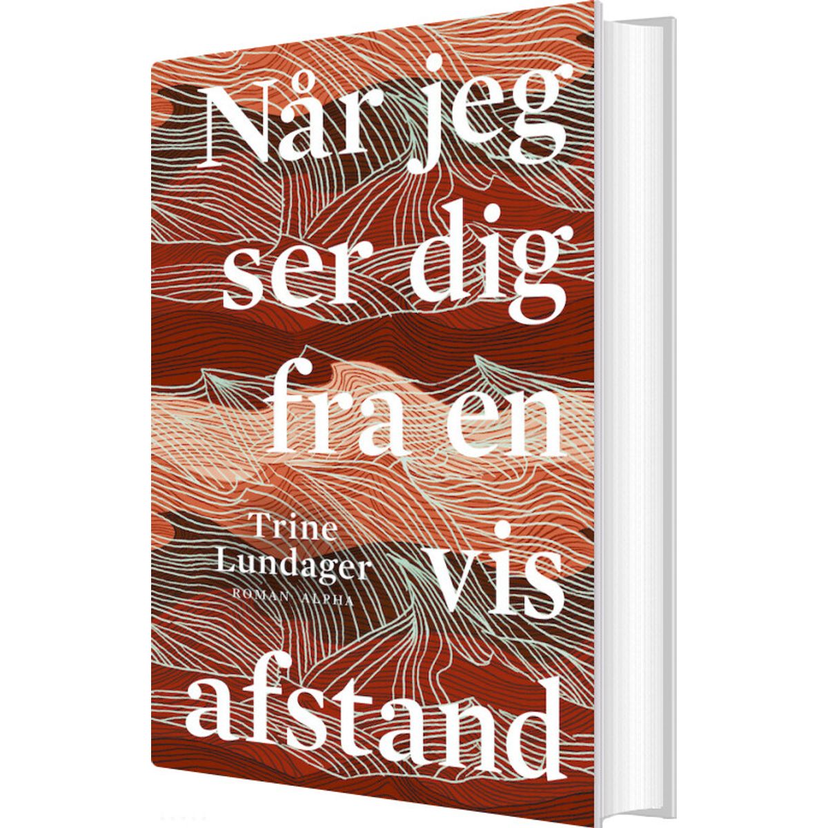 Når Jeg Ser Dig Fra En Vis Afstand - Trine Lundager - Bog