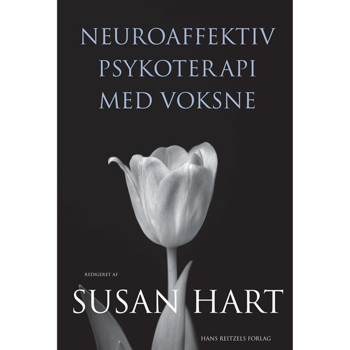 Neuroaffektiv Psykoterapi Med Voksne - Lars J. Sørensen - Bog