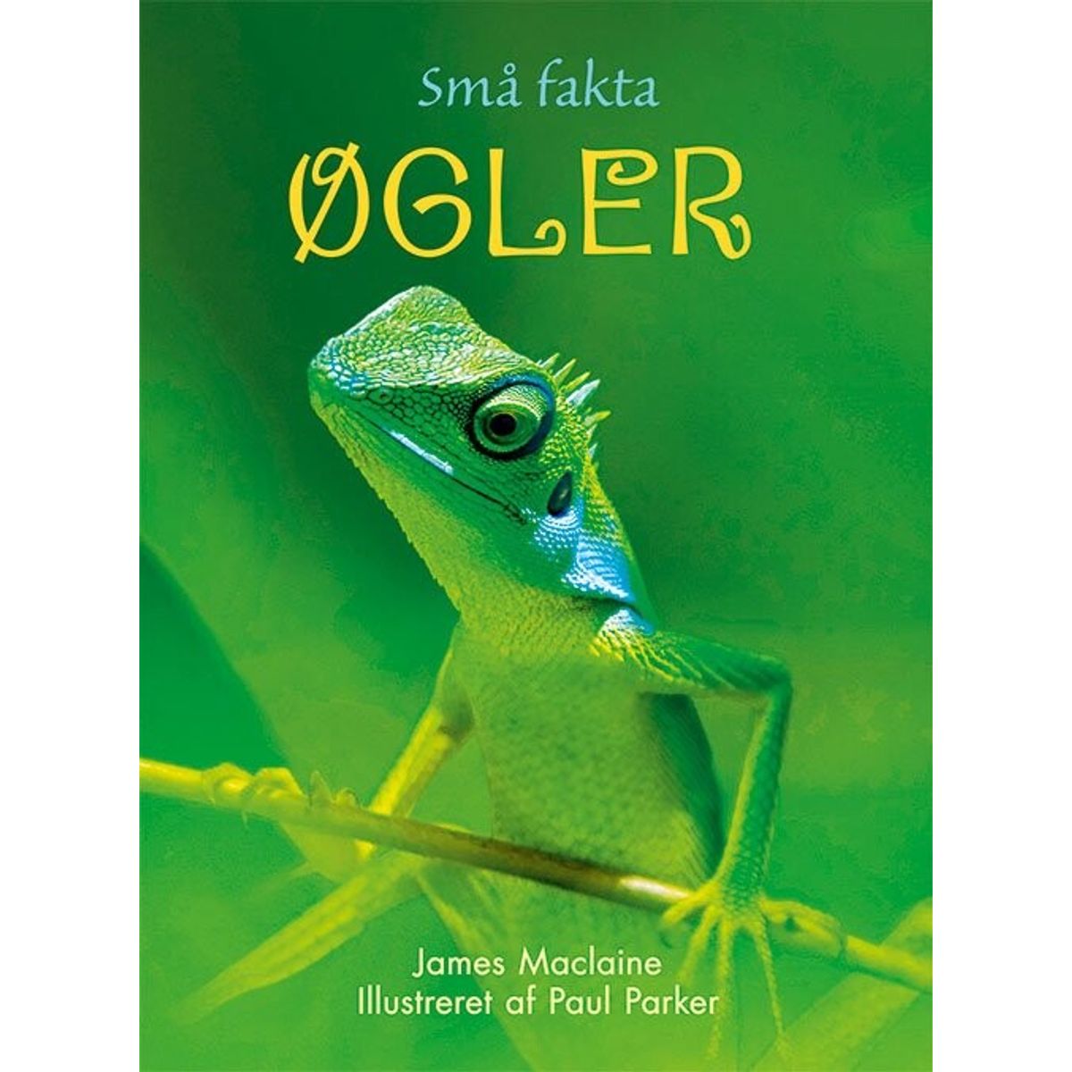 Små Fakta - øgler - James Maclaine - Bog