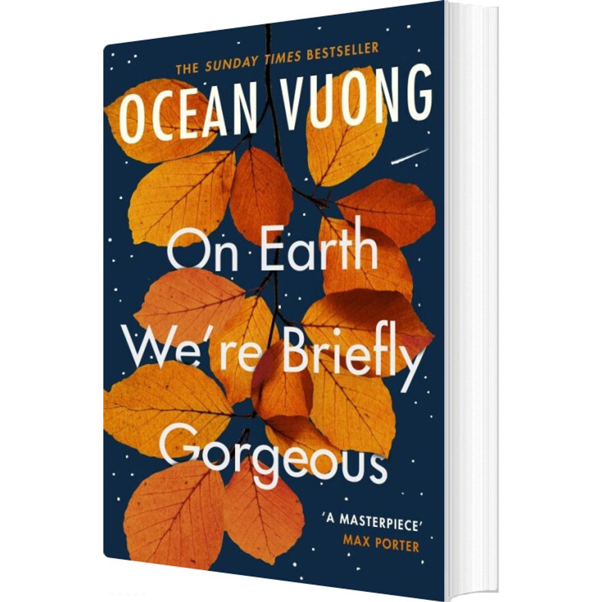 On Earth We're Briefly Gorgeous - Ocean Vuong - English Book