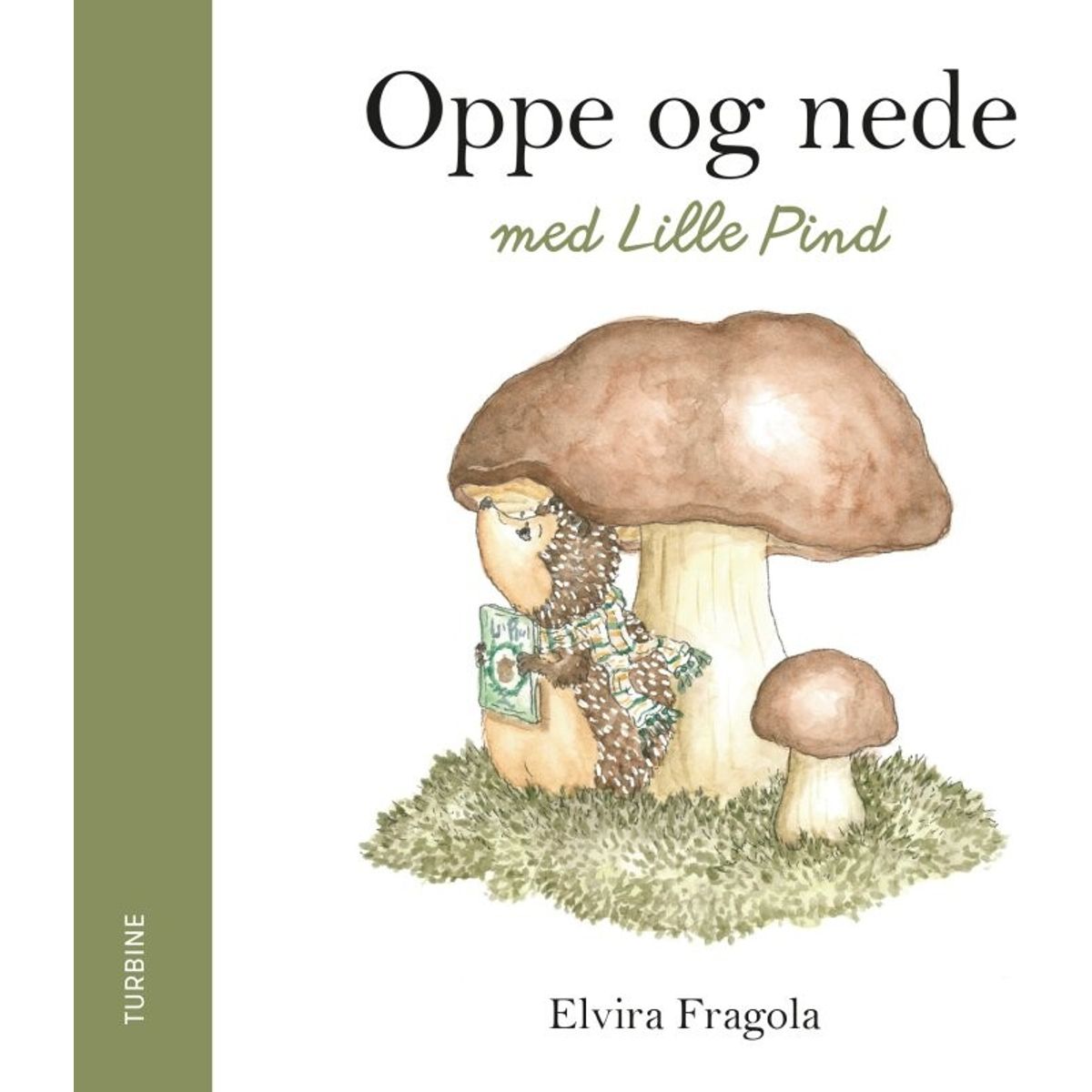 Oppe Og Nede Med Lille Pind - Elvira Fragola - Bog