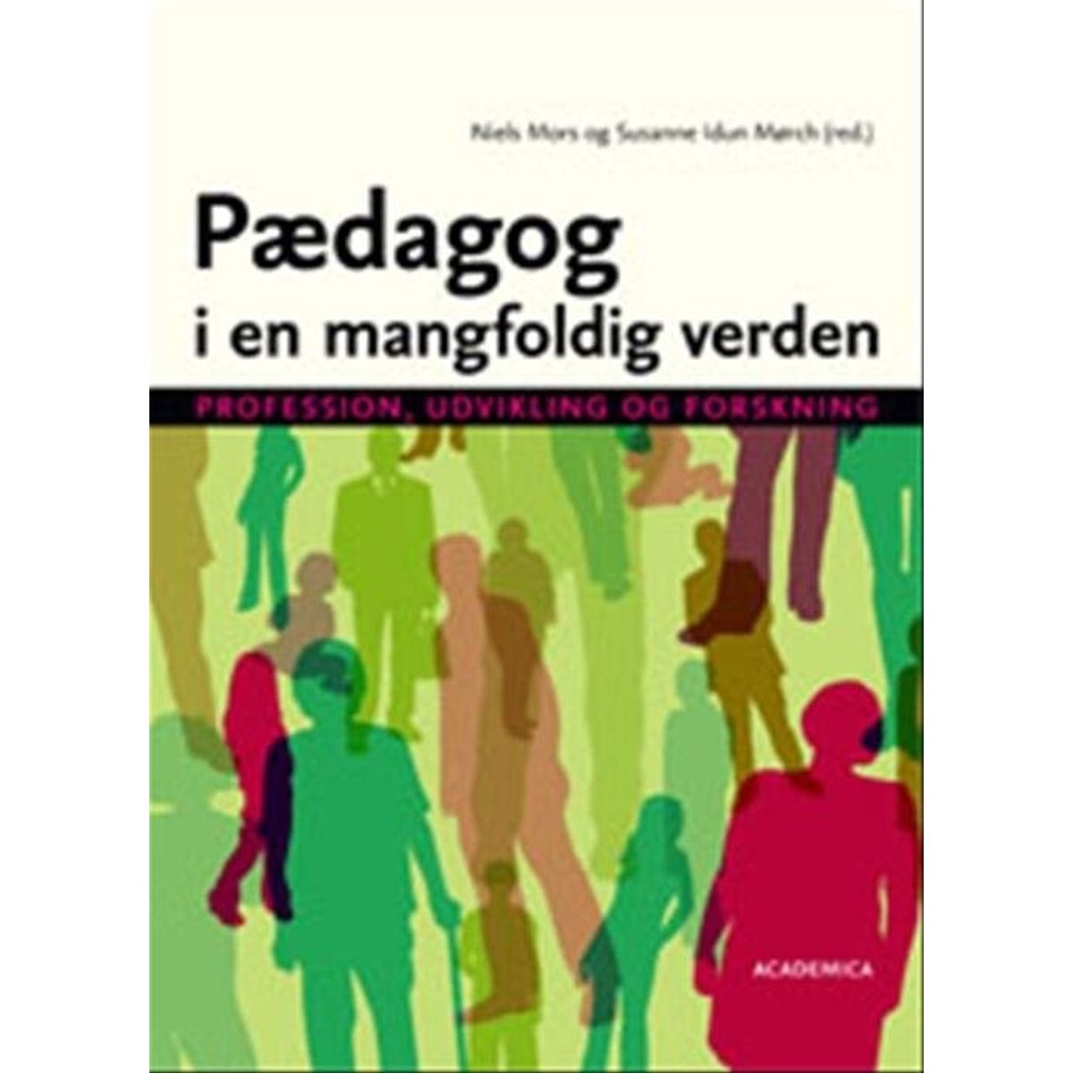 Pædagog I En Mangfoldig Verden - Jan Jaap Rothuizen - Bog