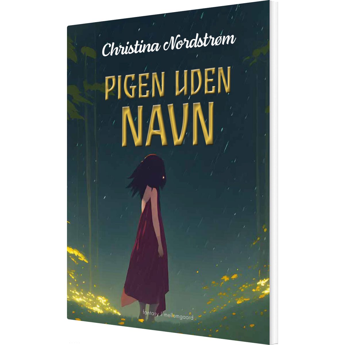 Pigen Uden Navn - Christina Nordstrøm - Bog